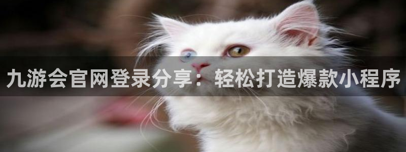 U8国际官网：九游会官网登录分享：轻松打造爆款小程序