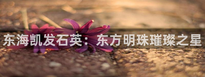 U8国际集团总部：东海凯发石英：东方明珠璀璨之星