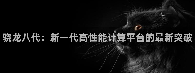 U8国际体育2：骁龙八代：新一代高性能计算平台的最新突破