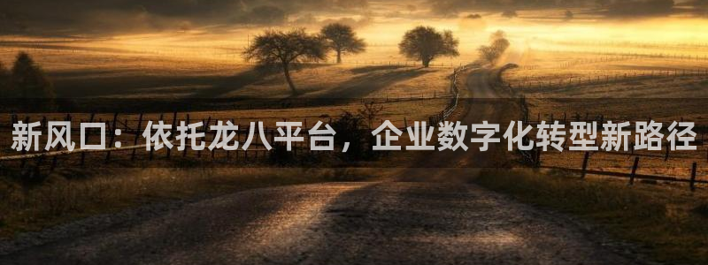 U8国际体育用品：新风口：依托龙八平台，企业数字化转型新路径
