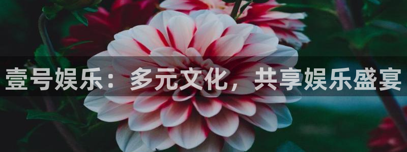 U8国际零能源集团：壹号娱乐：多元文化，共享娱乐盛宴