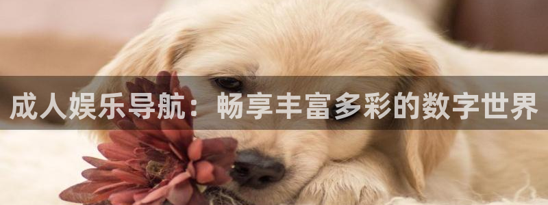 U8国际集团股票：成人娱乐导航：畅享丰富多彩的数字世界
