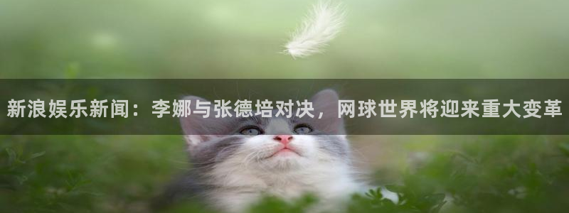 U8国际体育网页版入口：新浪娱乐新闻：李娜与张德培对决，网球世界将迎来重大变革