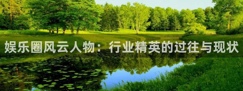 上海U8国际汽车电子有限公司：娱乐圈风云人物：行业精英的过往与现状