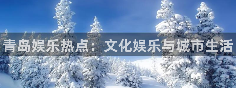 U8国际主管