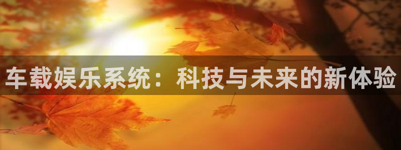U8国际平台注册：车载娱乐系统：科技与未来的新体验