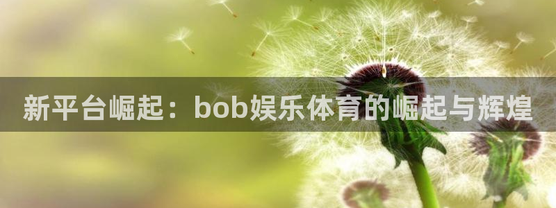 U8国际体育官网：新平台崛起：bob娱乐体育的崛起与辉煌
