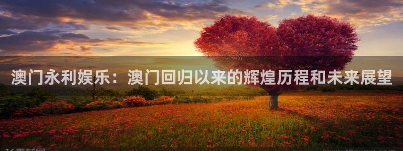 U8国际体育凯捷代理注册：澳门永利娱乐：澳门回归以来的辉煌历程和未来展望
