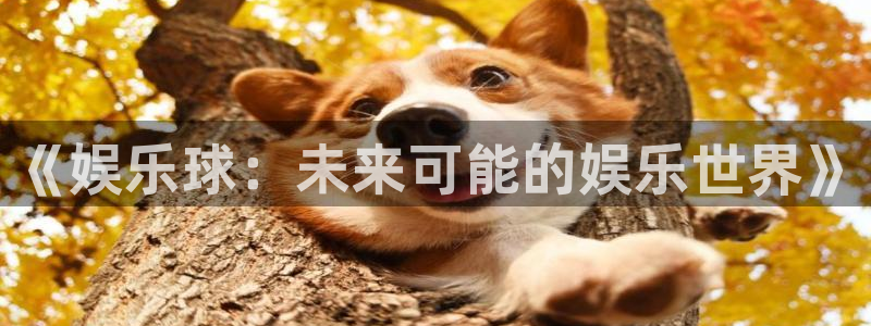U8国际体育凯捷平台代理：《娱乐球：未来可能的娱乐世界》