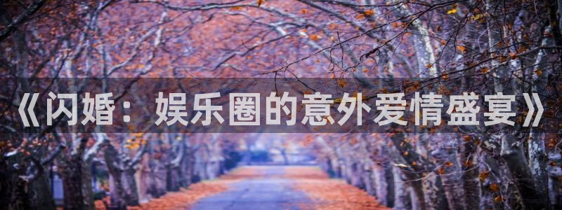 U8国际凯捷平台注册链接：《闪婚：娱乐圈的意外爱情盛宴》