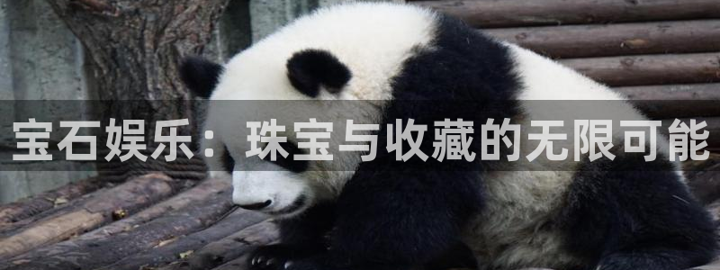 U8国际体育f开户