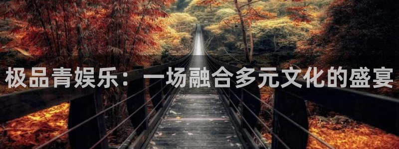 U8国际体育平台注册：极品青娱乐：一场融合多元文化的盛宴