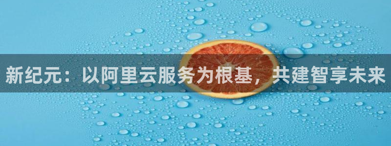 U8国际2平台登录：新纪元：以阿里云服务为根基，共建智享未来