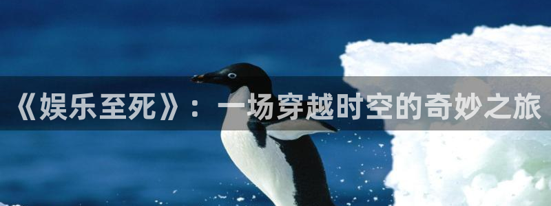 U8国际体育注册：《娱乐至死》：一场穿越时空的奇妙之旅