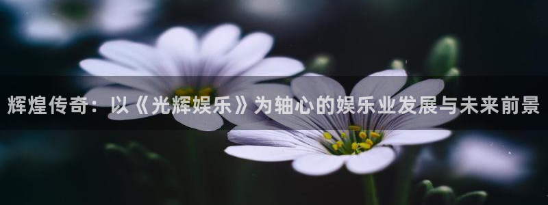 U8国际体育论坛