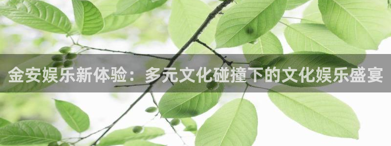 U8国际2平台登录：金安娱乐新体验：多元文化碰撞下的文化娱乐盛宴