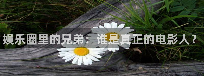U8国际体育凯捷平台主管：娱乐圈里的兄弟：谁是真正的电影人？